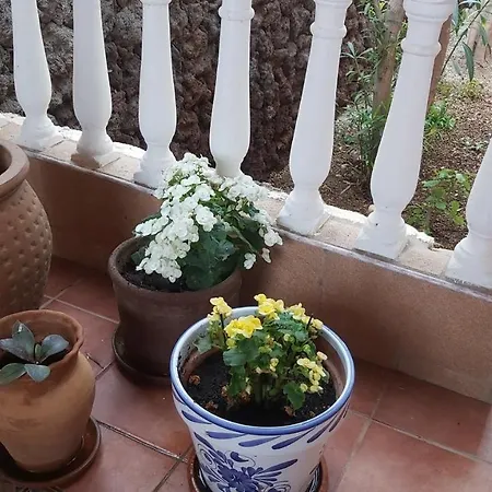 Tenerife Sur - Indoor Heated Pool וילה ארונה